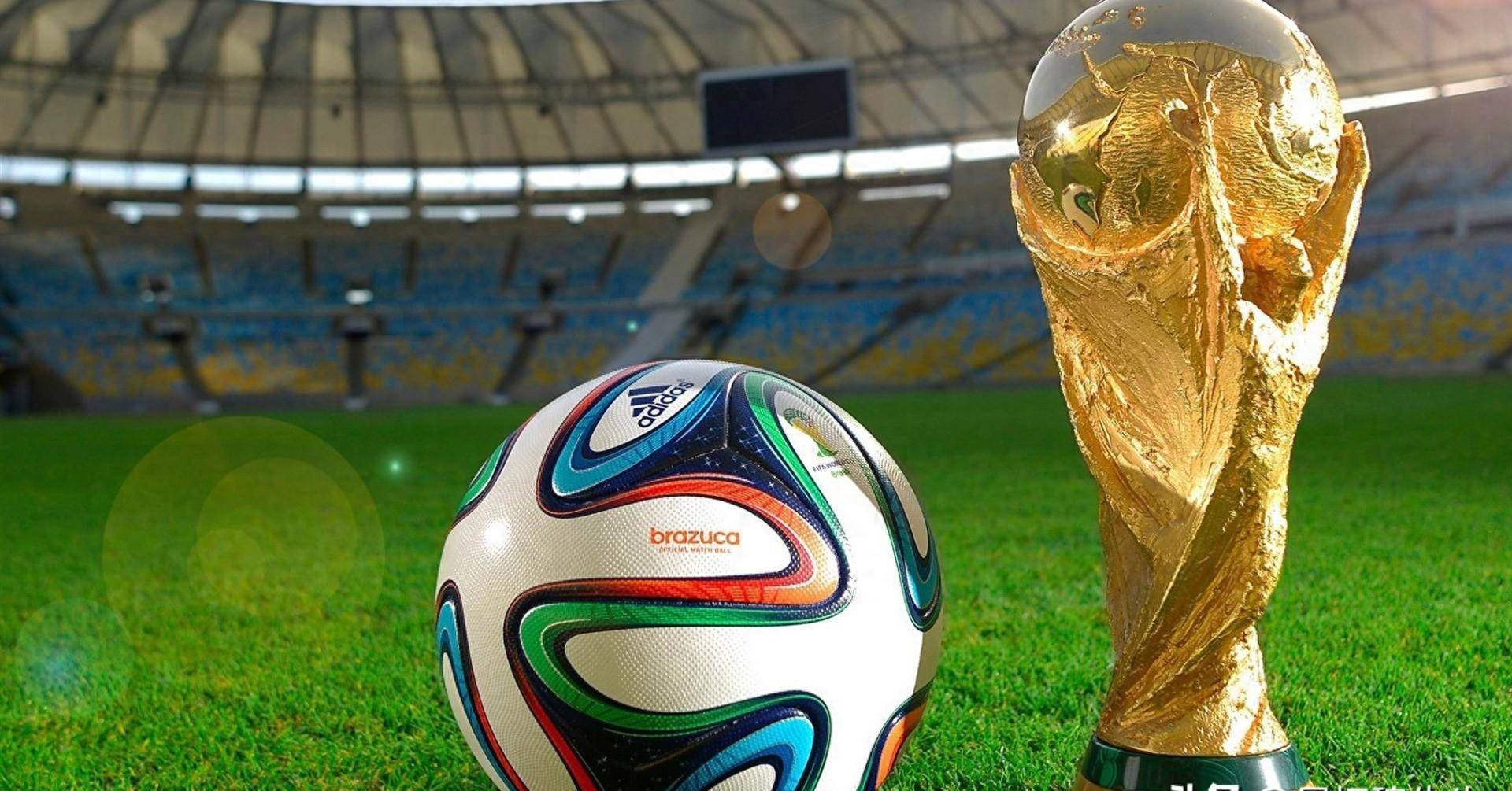 每一年的 每一年的